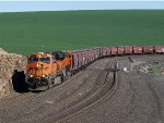 BNSF 6008